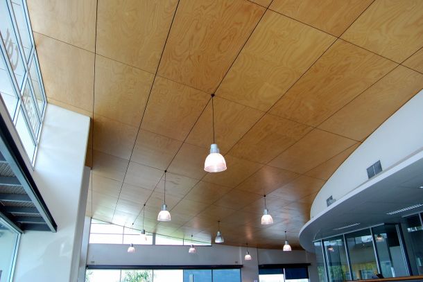 Austral FR Panel (Group 2 certified) used as ceiling lining in commercial project